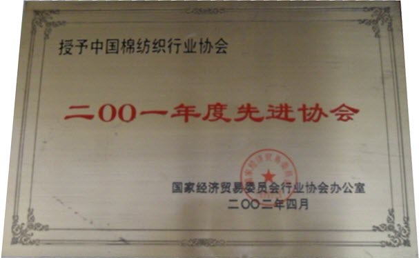 2002年 被国家经济贸易委员会评为“2001年度先进协会”